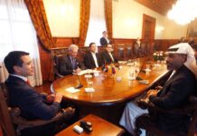 Daniel Nemaa celebró una reunión con la autoridad de los Emiratos Árabes Unidos para abordar varios temas | Política | Noticias