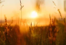 Albia digitaliza su catálogo con una solución sostenible y humana