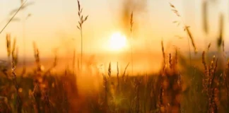 Albia digitaliza su catálogo con una solución sostenible y humana