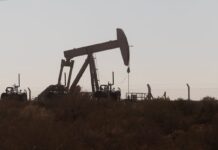 Vaca Muerta: el gran sueño de Milei para convertir a Argentina en una potencia petrolera | Negocios