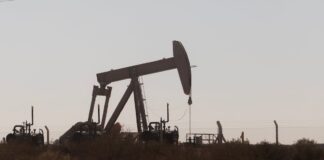 Vaca Muerta: el gran sueño de Milei para convertir a Argentina en una potencia petrolera | Negocios