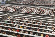 El BOE publica la oferta de empleo público de 2025: estas son las 36.600 nuevas plazas | Economía