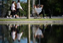 Cómo desconectar en verano: la batalla de la dopamina contra la serotonina | Negocios