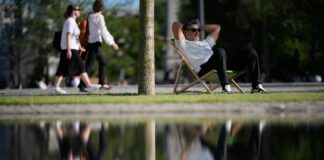 Cómo desconectar en verano: la batalla de la dopamina contra la serotonina | Negocios