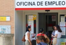 El sector sanitario, el comercio al por mayor y las actividades postales son los que más empleo destruyeron en el segundo trimestre | Economía