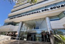 Este es el plazo que tiene la Corte Constitucional para tramitar el pedido de reforma parcial del Ejecutivo sobre la castración química para violadores | Política | Noticias