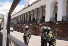 Reglamento a la Ley de Solidaridad dispone la creación de un comité que evaluará donaciones para la fuerza pública | Política | Noticias