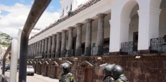 Reglamento a la Ley de Solidaridad dispone la creación de un comité que evaluará donaciones para la fuerza pública | Política | Noticias