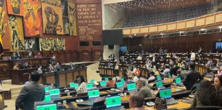 Implementar un IVA diferenciado del 5 % en provincias fronterizas: afianzaría aprobación de la ley urgente que regula las fundaciones