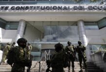 Esto dijo la Corte Constitucional sobre la propuesta de Daniel Noboa de convocar a una constituyente | Política | Noticias