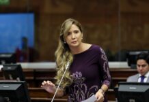 “En política se especula y nadie puede evitarlo”, Dallyana Passailaigue reacciona ante posible candidatura por el PSC | Política | Noticias