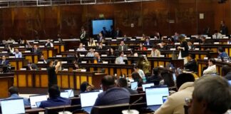 Correísmo no logra exhorto para que se declare en emergencia a la salud pública y la Asamblea Nacional pide a Daniel Noboa que garantice los servicios de salud | Política | Noticias