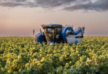 La tormenta perfecta en una copa: estas son las amenazas que oscurecen el futuro del vino | Negocios