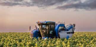La tormenta perfecta en una copa: estas son las amenazas que oscurecen el futuro del vino | Negocios