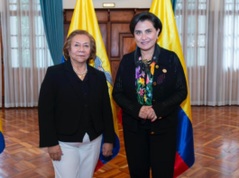 Canciller de Colombia anuncia negociación con Ecuador: ‘Debemos reunirnos este fin de semana o a más tardar el siguiente’ | Política | Noticias