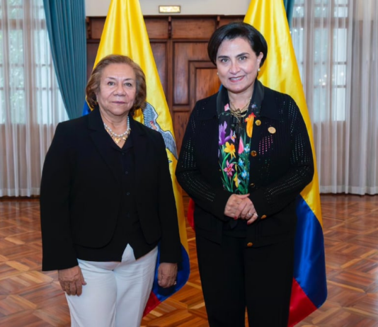 Canciller de Colombia anuncia negociación con Ecuador: ‘Debemos reunirnos este fin de semana o a más tardar el siguiente’ | Política | Noticias