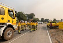 El Gobierno sube un 2,5% el salario al personal de Tragsa que previene y extingue incendios forestales | Economía