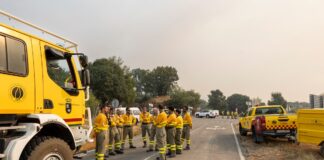El Gobierno sube un 2,5% el salario al personal de Tragsa que previene y extingue incendios forestales | Economía