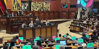Asamblea Nacional pide a la Corte Constitucional modular sentencia y otorgarle más tiempo para aprobar la ley de protección de derechos de los animales