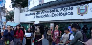 Colectivos ambientalistas realizan plantón en contra de la fusión del Ministerio del Ambiente y rechazan propuesta de ley para controlar fundaciones | Política | Noticias