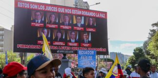 Algunos de los manifestantes no saben cuáles son las funciones de la Corte Constitucional a la que están cuestionando | Política | Noticias