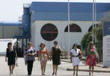 Cádiz recupera industria y albergará una planta única en Europa de biocombustibles en los viejos terrenos de Altadis | Economía