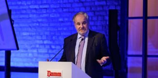 Mahou, Damm y Estrella Galicia entregan a sus accionistas unos dividendos récord de 236 millones | Empresas