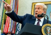 La agricultura, el vino, el motor y el consumo se preparan para la nueva era comercial | Economía