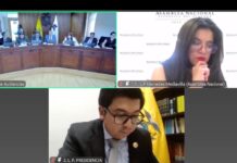 Unidad de materia y proceso legislativo fueron el centro de los cuestionamientos de la CC a la Presidencia y Asamblea en audiencia contra la Ley de Integridad | Política | Noticias