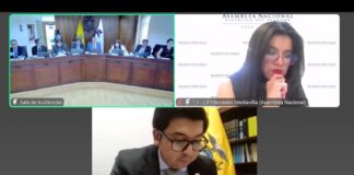 Asamblea Nacional y Presidencia ‘refuerzan’ sus defensas en la audiencia contra la Ley de Inteligencia en la Corte Constitucional | Política | Noticias