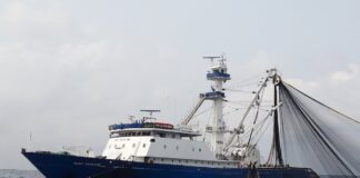 Jealsa, el conservero de Mercadona, quintuplica beneficios en 2024 y dobla el dividendo | Empresas