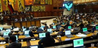 Asamblea Nacional archiva proyecto de ley sobre regulación de grafitis urbanos | Política | Noticias