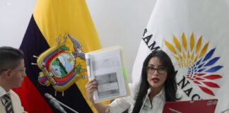 Fiscalía investiga mala práctica médica tras fallecimiento de 12 recién nacidos en hospital Universitario de Guayaquil | Política | Noticias