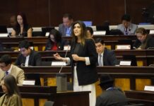 Proyecto de ley de Transparencia Social entra a primer debate en el pleno de la Asamblea Nacional | Política | Noticias