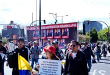 Preocupación en la Asociación de Magistrados y Jueces por campañas de desprestigio hacia la Corte Constitucional | Política | Noticias