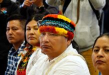 Conaie rechaza marcha contra la Corte Constitucional y advierte riesgos para la democracia | Política | Noticias