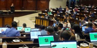 Estos son los 81 asambleístas que autorizaron la consulta popular sobre la eliminación del fondo partidario y la promoción electoral | Política | Noticias