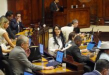 Críticas de la oposición y respaldo del oficialismo: las reacciones de los asambleístas a la ley urgente de Fortalecimiento Crediticio | Política | Noticias