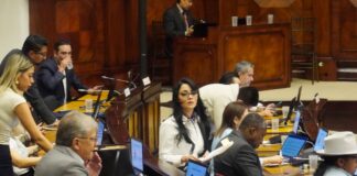 Críticas de la oposición y respaldo del oficialismo: las reacciones de los asambleístas a la ley urgente de Fortalecimiento Crediticio | Política | Noticias