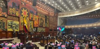 Ley de Transparencia Social: con votos de Pachakutik, exmilitantes de RC e independientes se aprueba ley urgente de Daniel Noboa | Política | Noticias