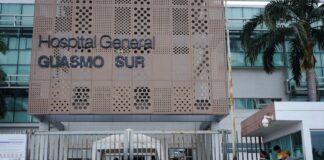 Gobierno de Daniel Noboa crea un comité para garantizar acceso eficiente a los servicios de salud | Política | Noticias