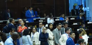 Correísmo pide a Contraloría que supervise uso de funcionarios y bienes públicos ante la movilización del Gobierno hacia la Corte Constitucional | Política | Noticias