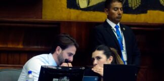 Asamblea Nacional pide a la Corte Constitucional que difiera la audiencia de la demanda contra Ley de Integridad Pública | Política | Noticias