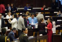 Fuerzas políticas legislativas toman posición sobre preguntas de enmiendas y consulta popular | Política | Noticias