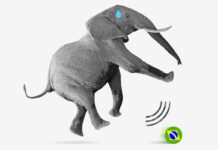 Lula da Silva: Brasil: una postura valiente frente a la arrogancia de Trump | Negocios