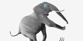 Lula da Silva: Brasil: una postura valiente frente a la arrogancia de Trump | Negocios