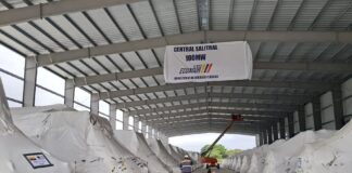 ‘No somos abogados de Progen’, aclara el estudio jurídico Pino Elizalde | Política | Noticias