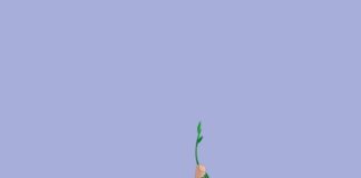 La hora de la verdad para inversores y emisores | Negocios