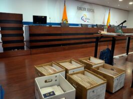 Falta de jueces a escala nacional orilla al Consejo de la Judicatura a pensar en una declaratoria de emergencia para designar magistrados temporales | Política | Noticias