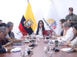 Comisión de niñez y adolescencia investiga muerte de bebé en Macas y la entrega de su cuerpo en una caja de cartón | Política | Noticias